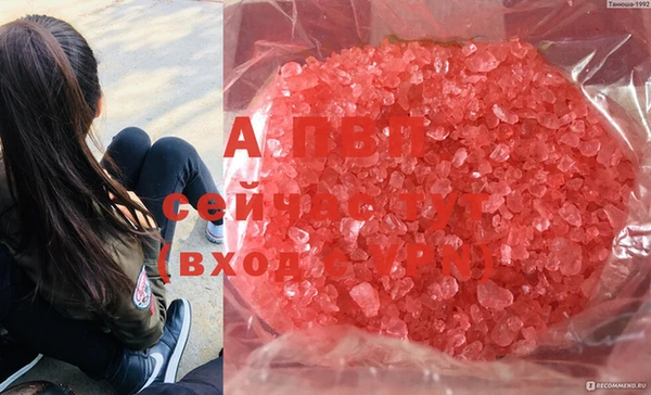 ешки Ельня