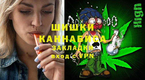 ешки Ельня