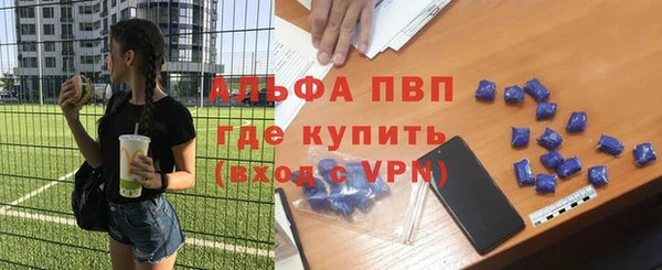 ешки Ельня