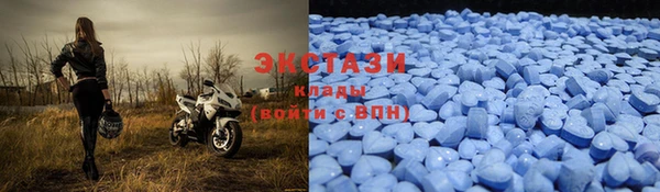 ешки Ельня